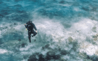 Unlocking Ocean Mysteries: Capturing Life Below the Waves
