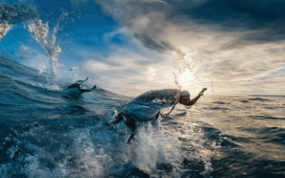 The Ultimate Guide to Mastering Marine Adventure Photography Tips: Essential Shooting Rules for Capturing Perfect Shots