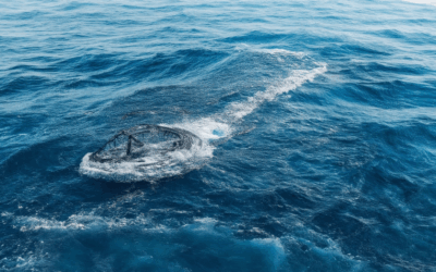 Top Ocean Photographers: The Ultimate Guide to the World’s Greatest Marine Photographers
