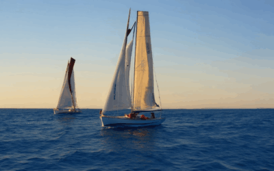 Sailing Adventures: Captivating Moments and Essential Tips