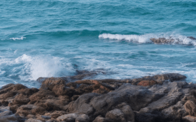 Elevate Your Ocean Photography Skills: Joining the Community for Success