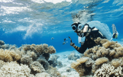 What Are the Top Marine Photography Tips for Capturing Stunning Underwater and Surface Shots?