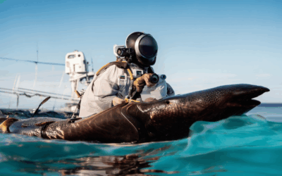 Pro Tips for Marine Photography: Essential Techniques Every Photographer Should Know